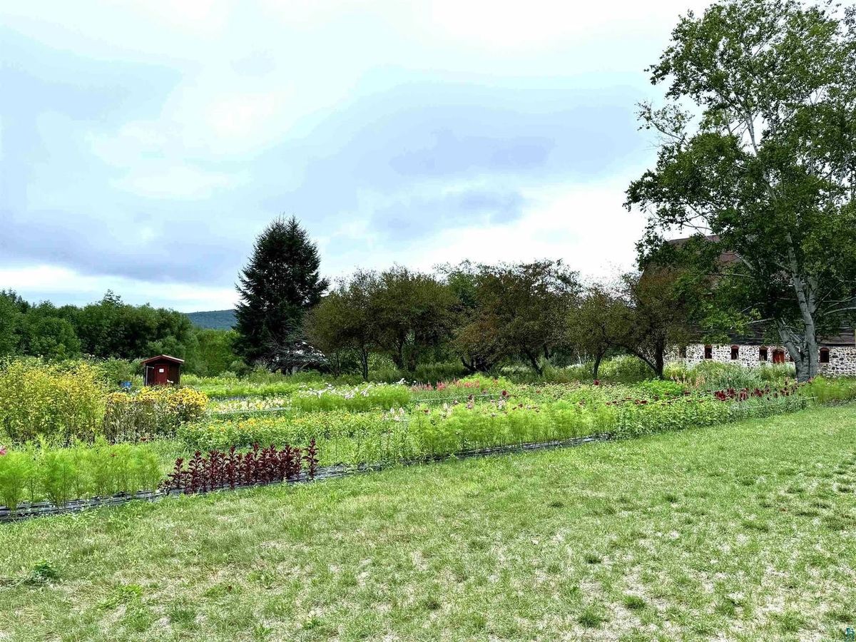 Garden rows and an open field edged by trees.